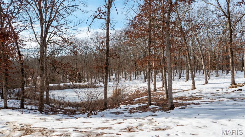 0 Pebble Creek Drive Warrenton, MO 63383 - Photo 17 of 20