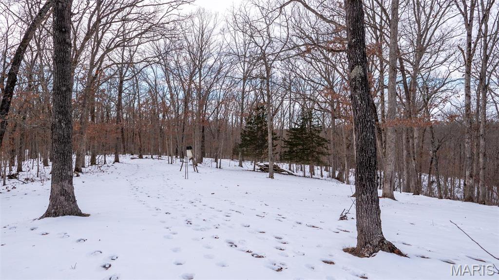 0 Pebble Creek Drive Warrenton, MO 63383 - Photo 20 of 20