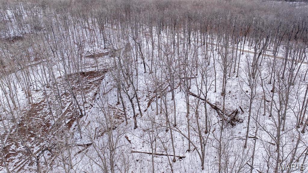 0 Pebble Creek Drive Warrenton, MO 63383 - Photo 6 of 20