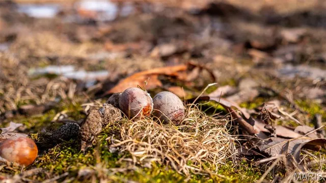 $430,000 | 0 Pebble Creek Drive, Warrenton, MO 63383