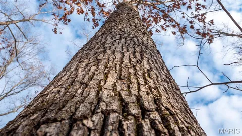 $430,000 | 0 Pebble Creek Drive, Warrenton, MO 63383