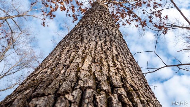 $430,000 | 0 Pebble Creek Drive, Warrenton, MO 63383