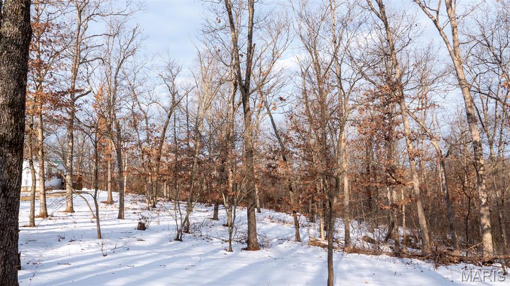 0 Pebble Creek Drive Warrenton, MO 63383 - Photo 10 of 20