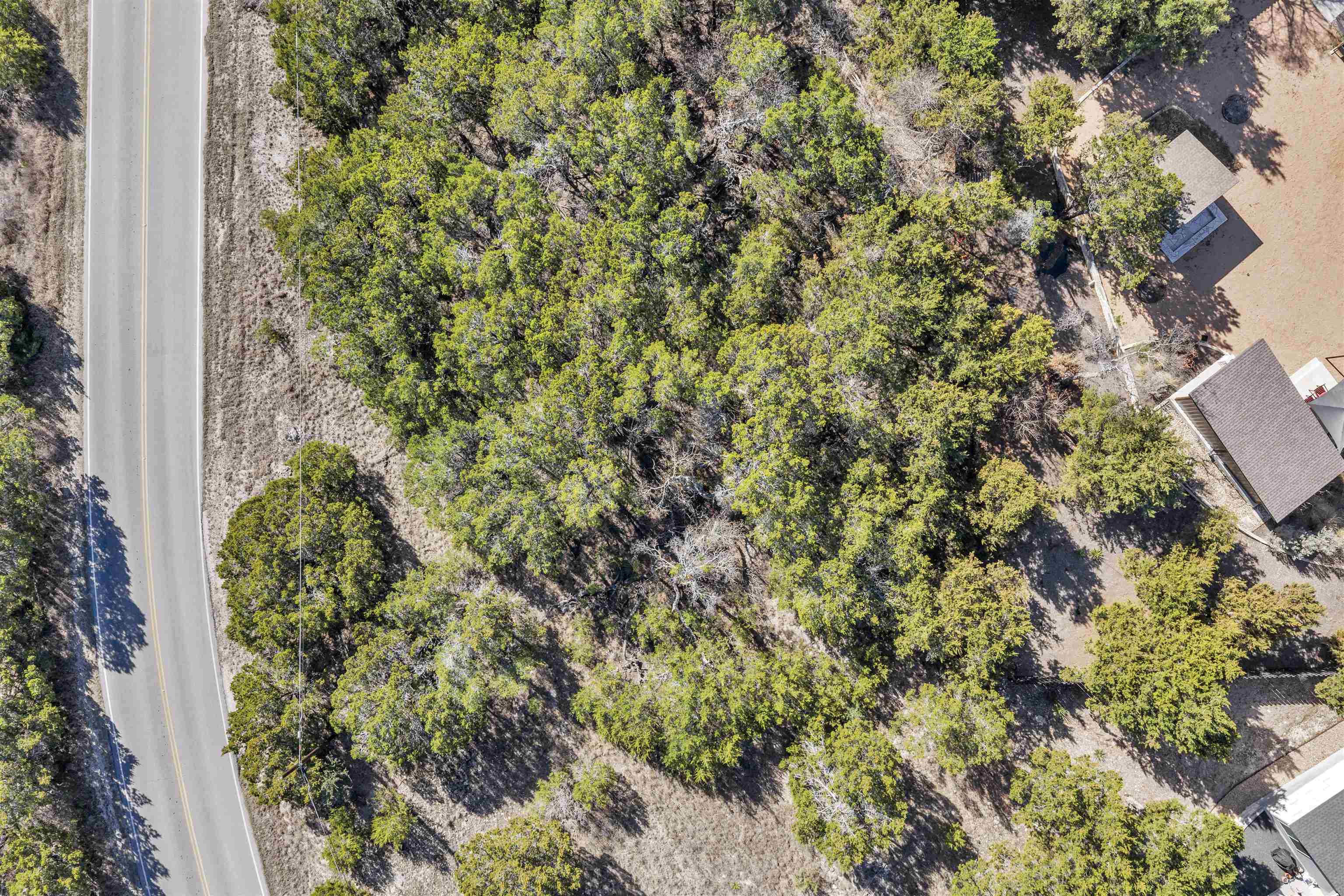 8614 Bar K Ranch Road Lago Vista, TX 78645 - Photo 3 of 26 a view of a garden with plants