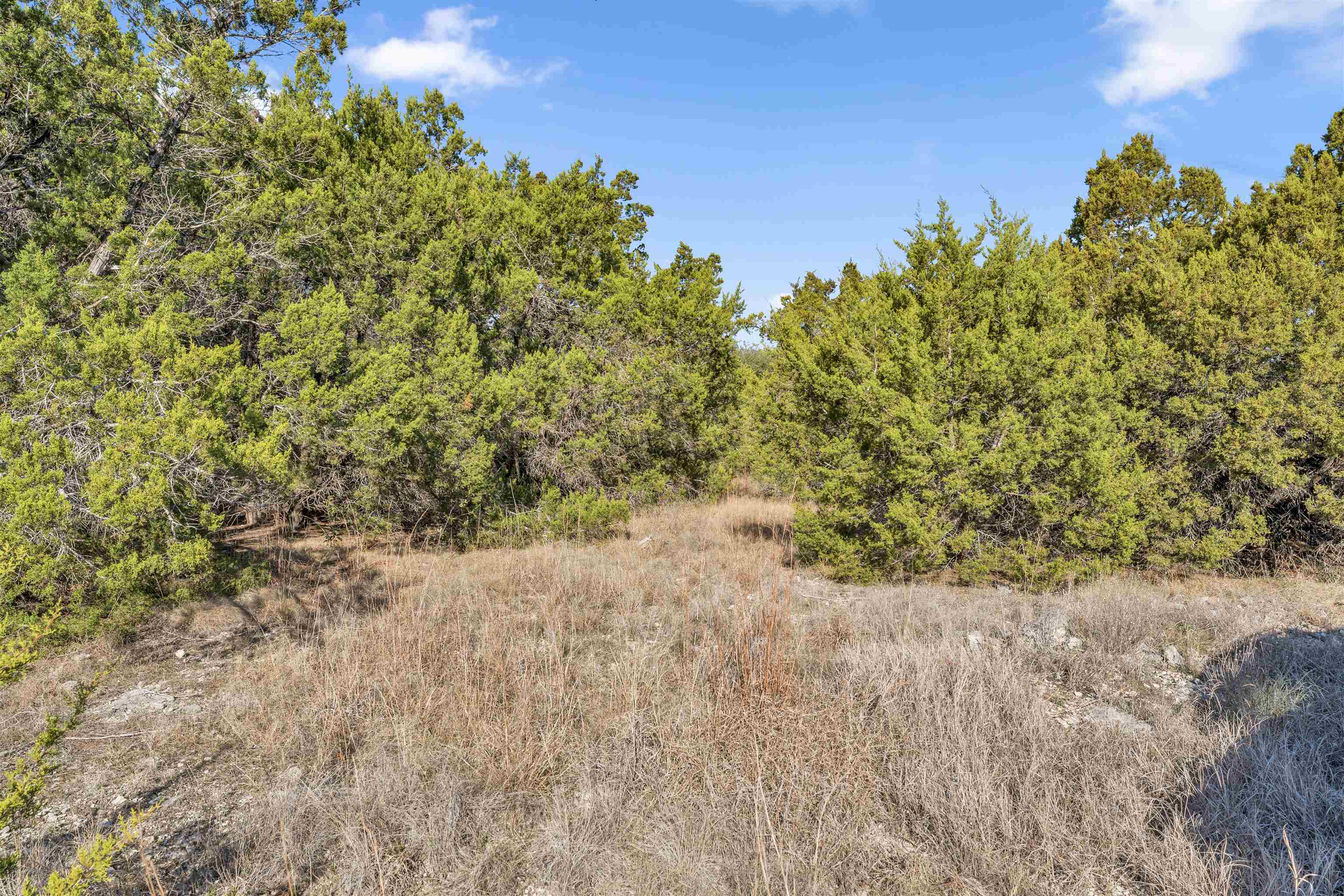 8614 Bar K Ranch Road Lago Vista, TX 78645 - Photo 5 of 26 a view of a plants with large trees
