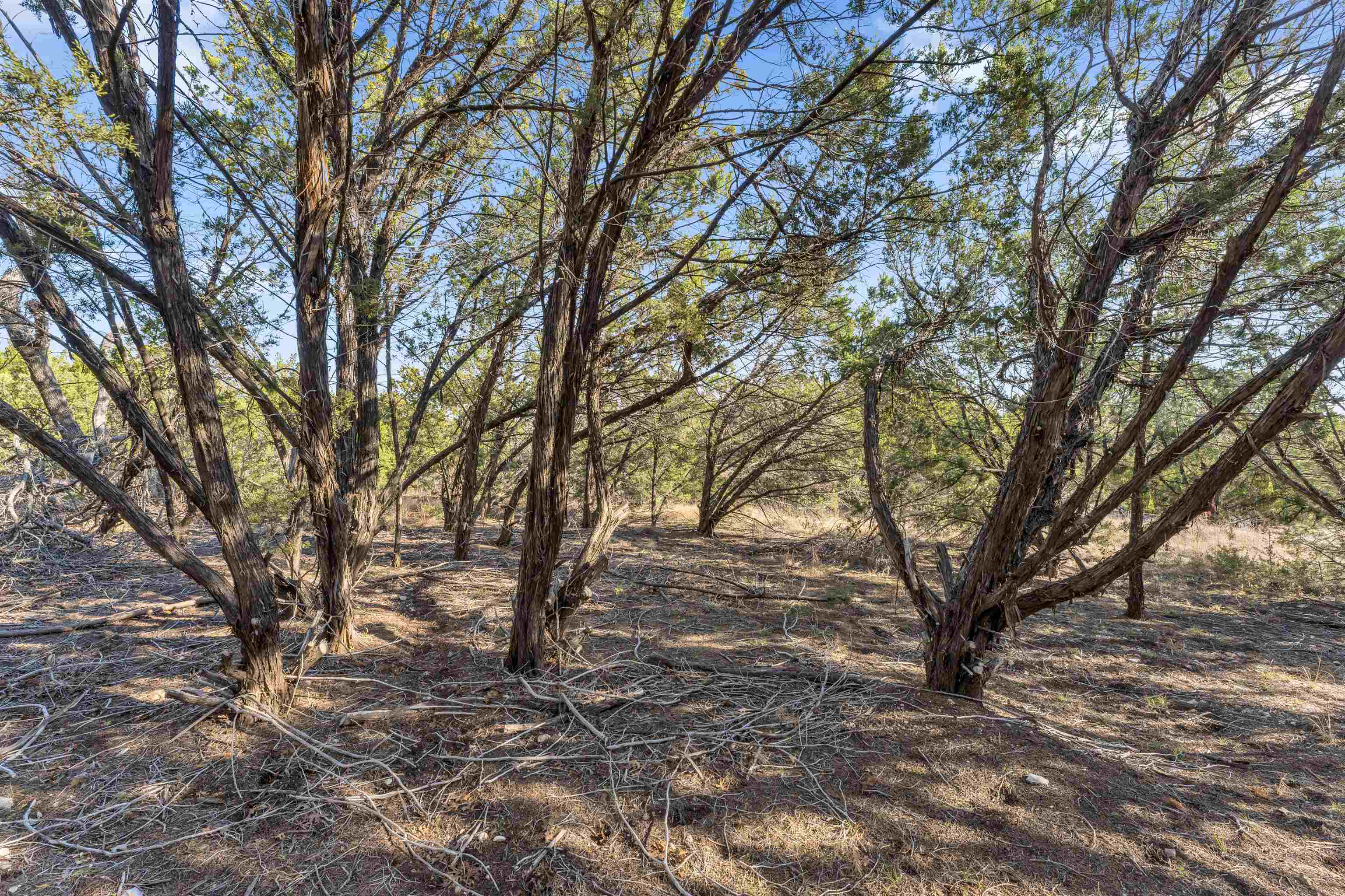 8614 Bar K Ranch Road Lago Vista, TX 78645 - Photo 7 of 26 a view of road with trees