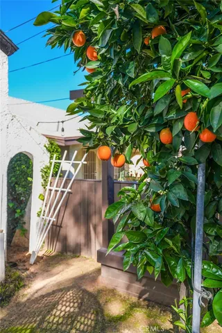 a kitchen with stainless steel appliances granite countertop a sink and a stove