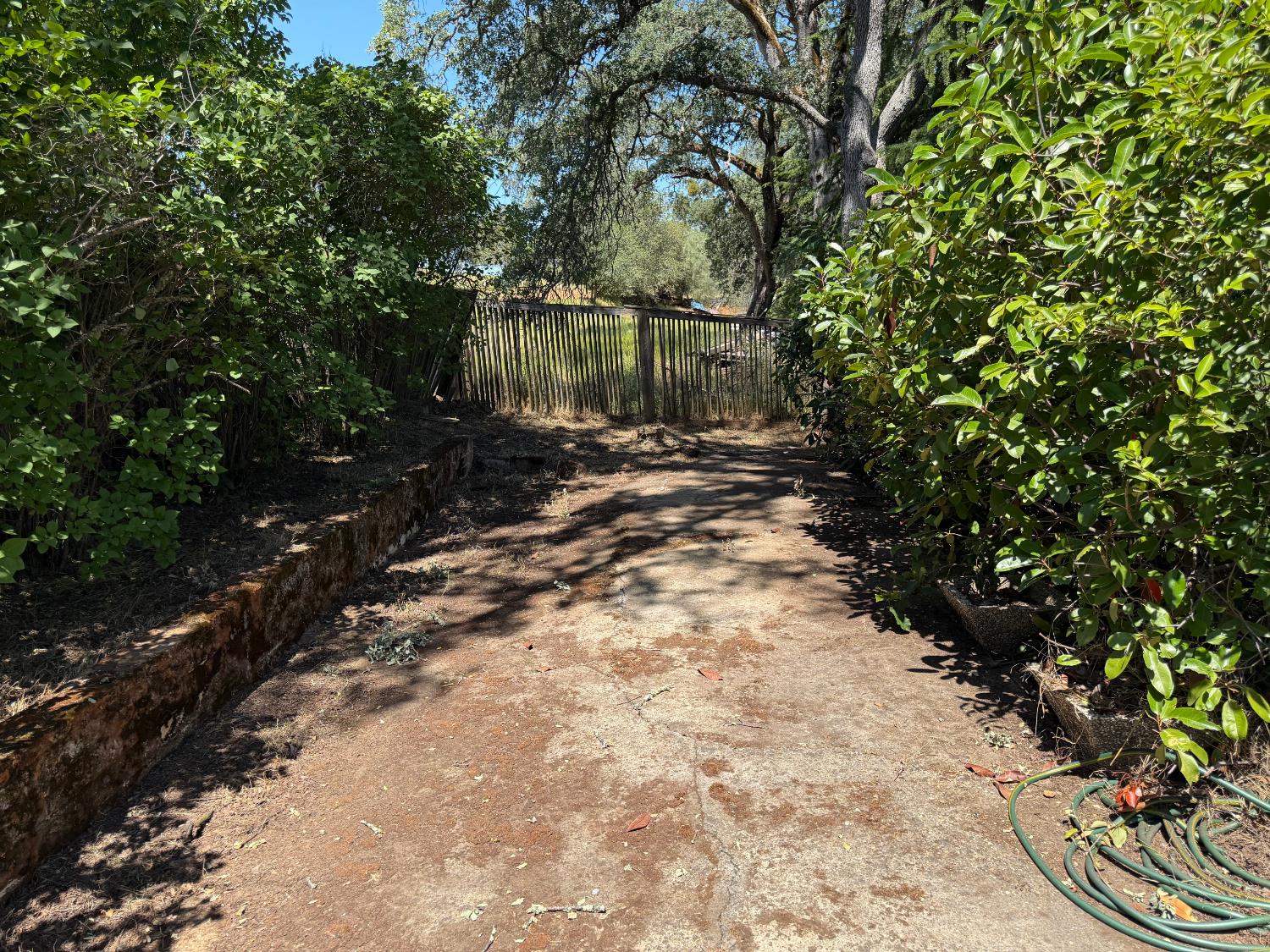 231 Boarman Street Jackson, CA 95642 - Photo 61 of 65 Flat area rear of lot