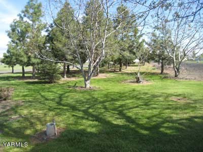 17161 Summitview Road Cowiche, WA 98923 - Photo 26 of 28 a view of a tree in a yard