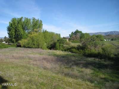 17161 Summitview Road Cowiche, WA 98923 - Photo 28 of 28 a view of a field with trees in background