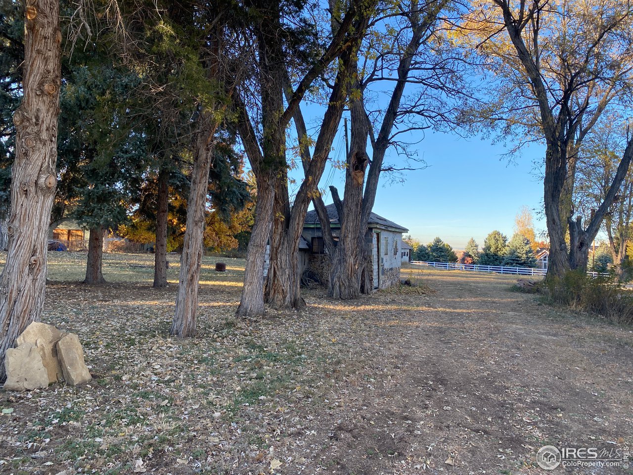 8657 Baseline Road Lafayette, CO 80026 - Photo 12 of 30 a view of a yard with a tree