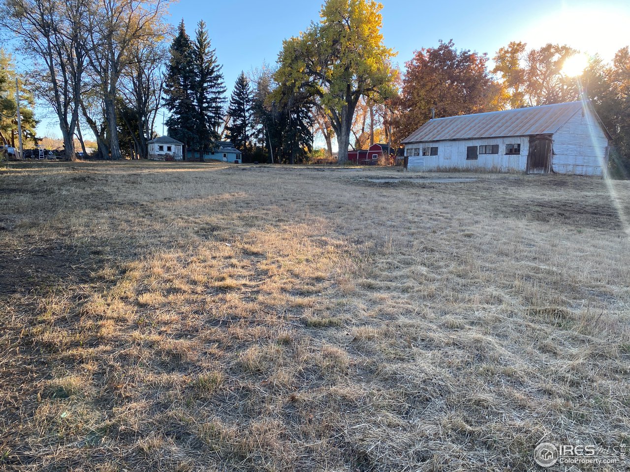 8657 Baseline Road Lafayette, CO 80026 - Photo 23 of 30 a view of large trees with a dry yard