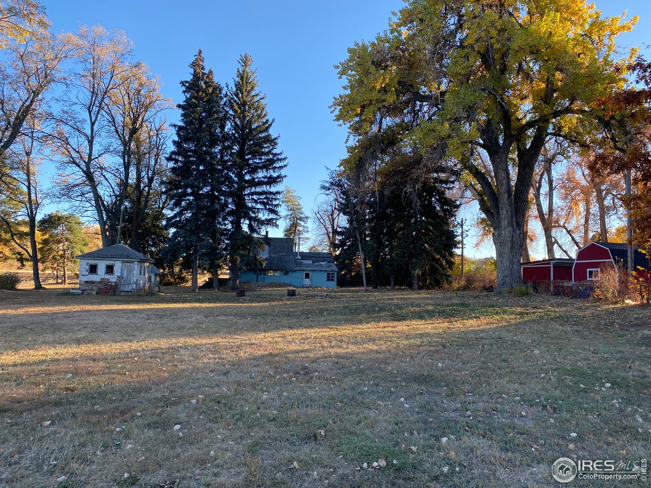 8657 Baseline Road Lafayette, CO 80026 - Photo 29 of 30 a view of a yard with a trees