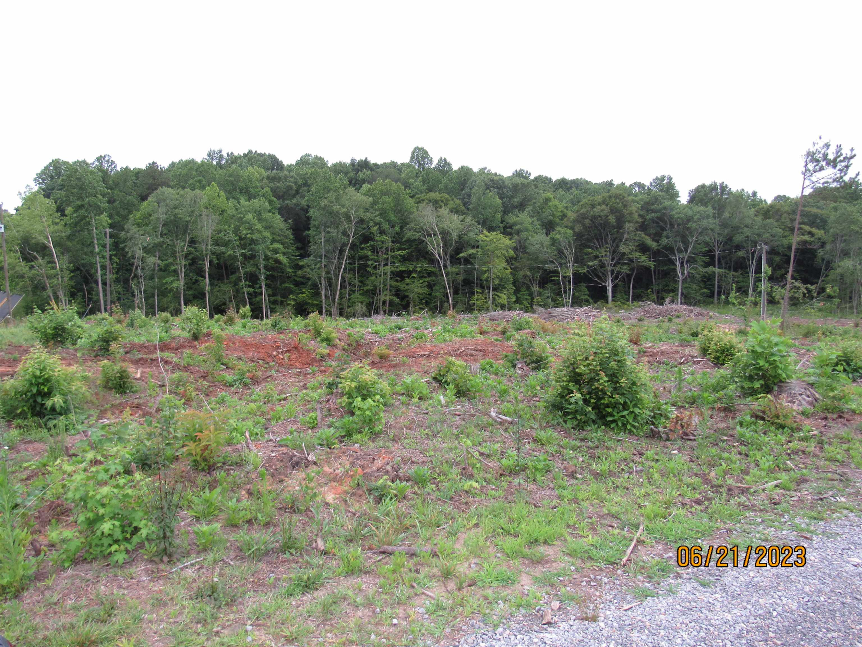1159 Ed Faulkner Road Warrenton, NC 27589 - Photo 9 of 27 Photo 9