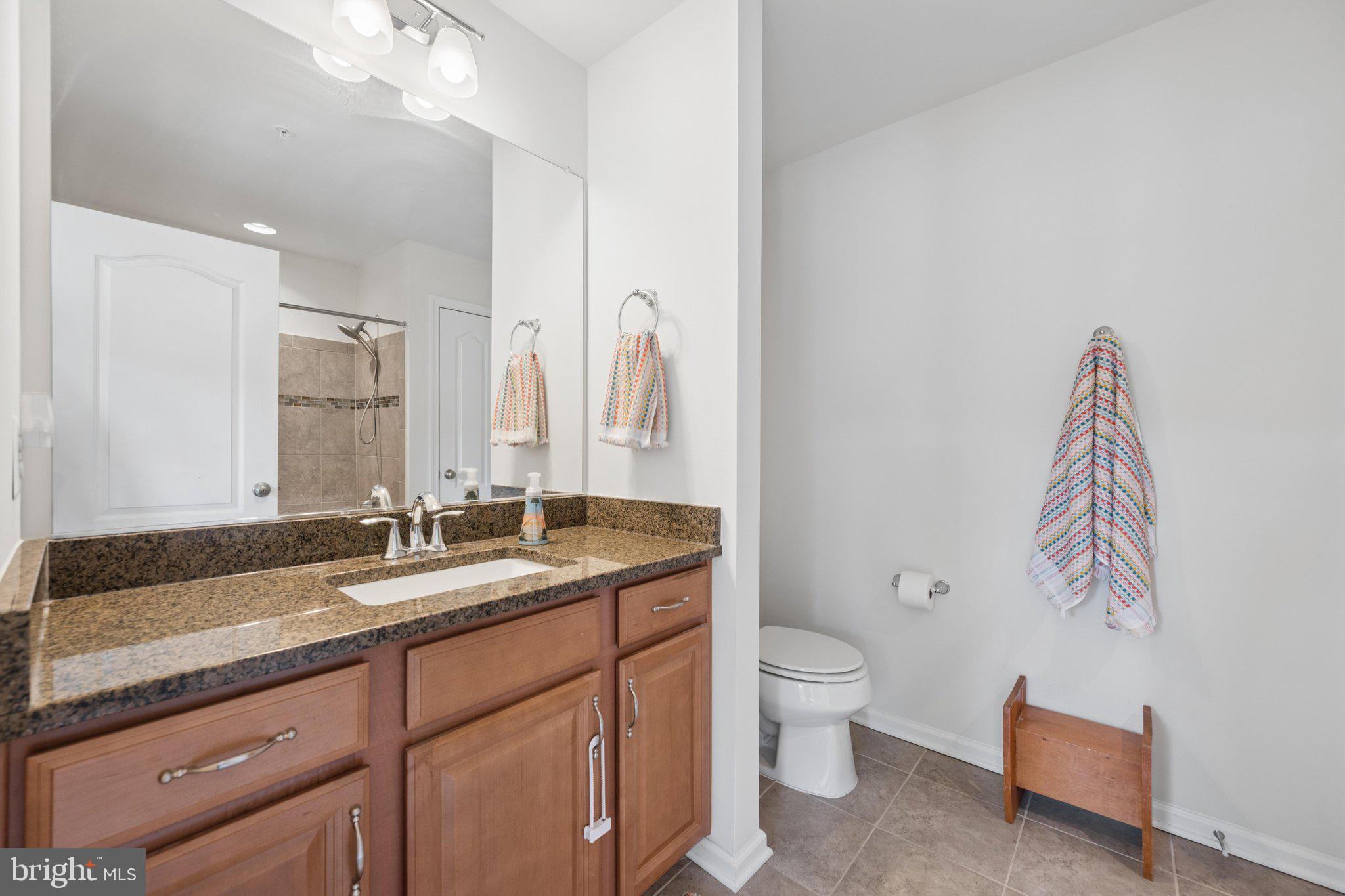 8463 Randell Ridge Road Frederick, MD 21704 - Photo 43 of 76 Bathroom