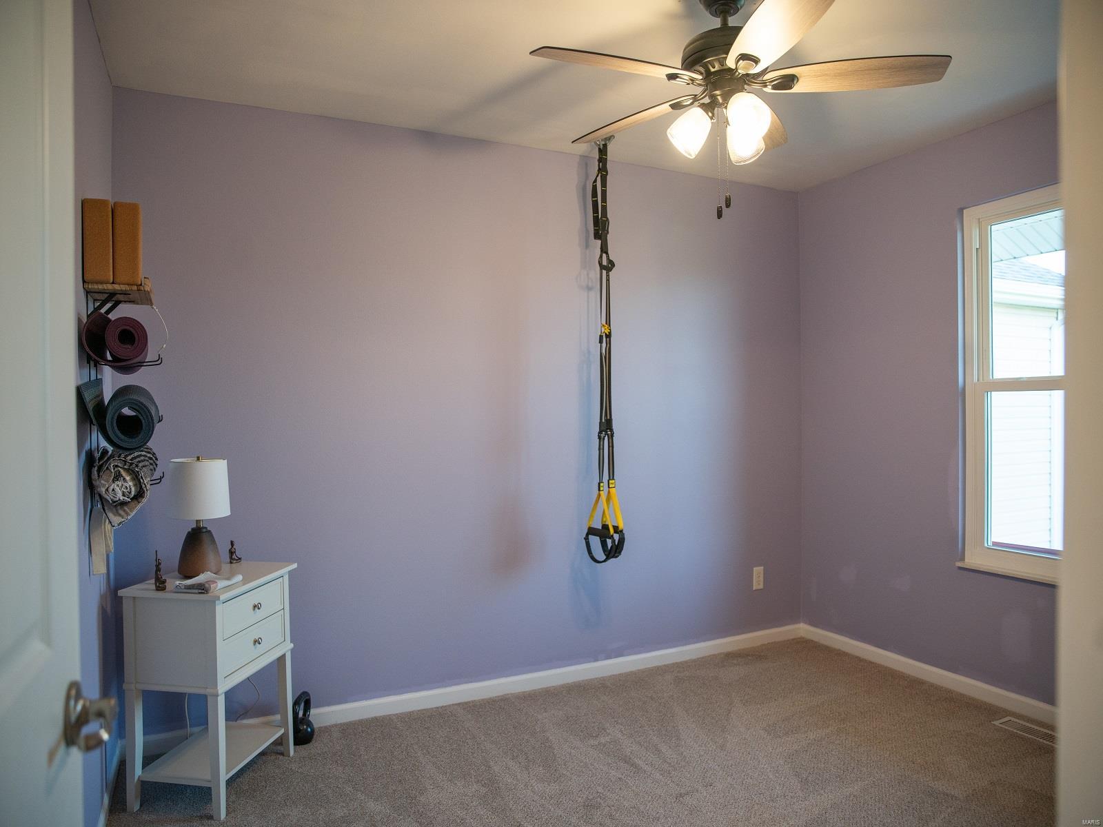 6623 David Scott Drive Waterloo, IL 62298 - Photo 27 of 42