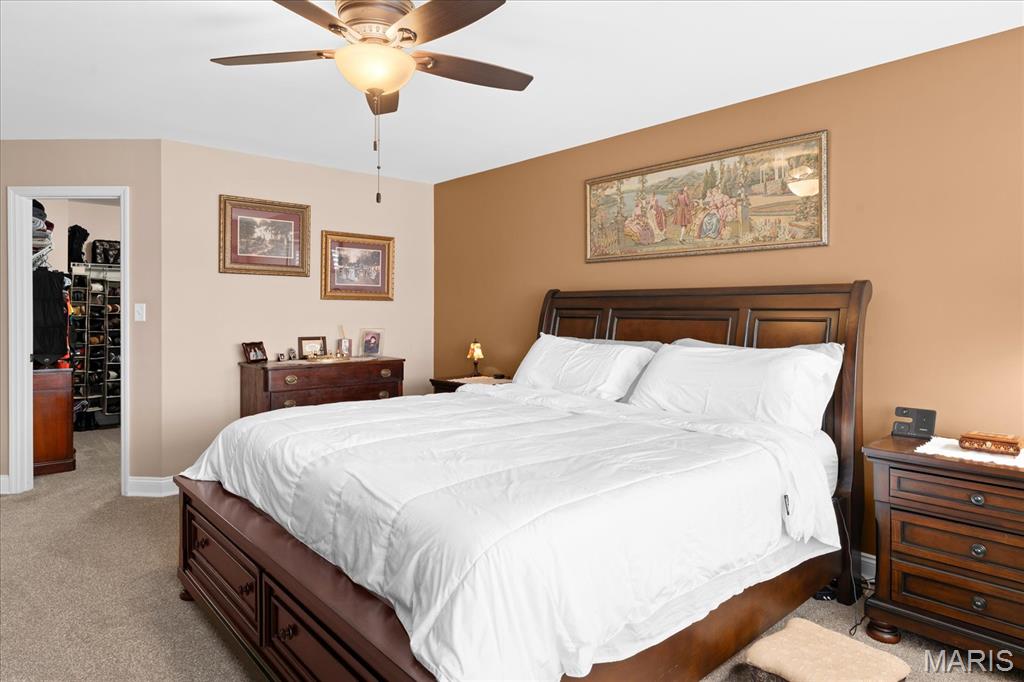 286 Red Clover Circle O'Fallon, IL 62269 - Photo 29 of 62