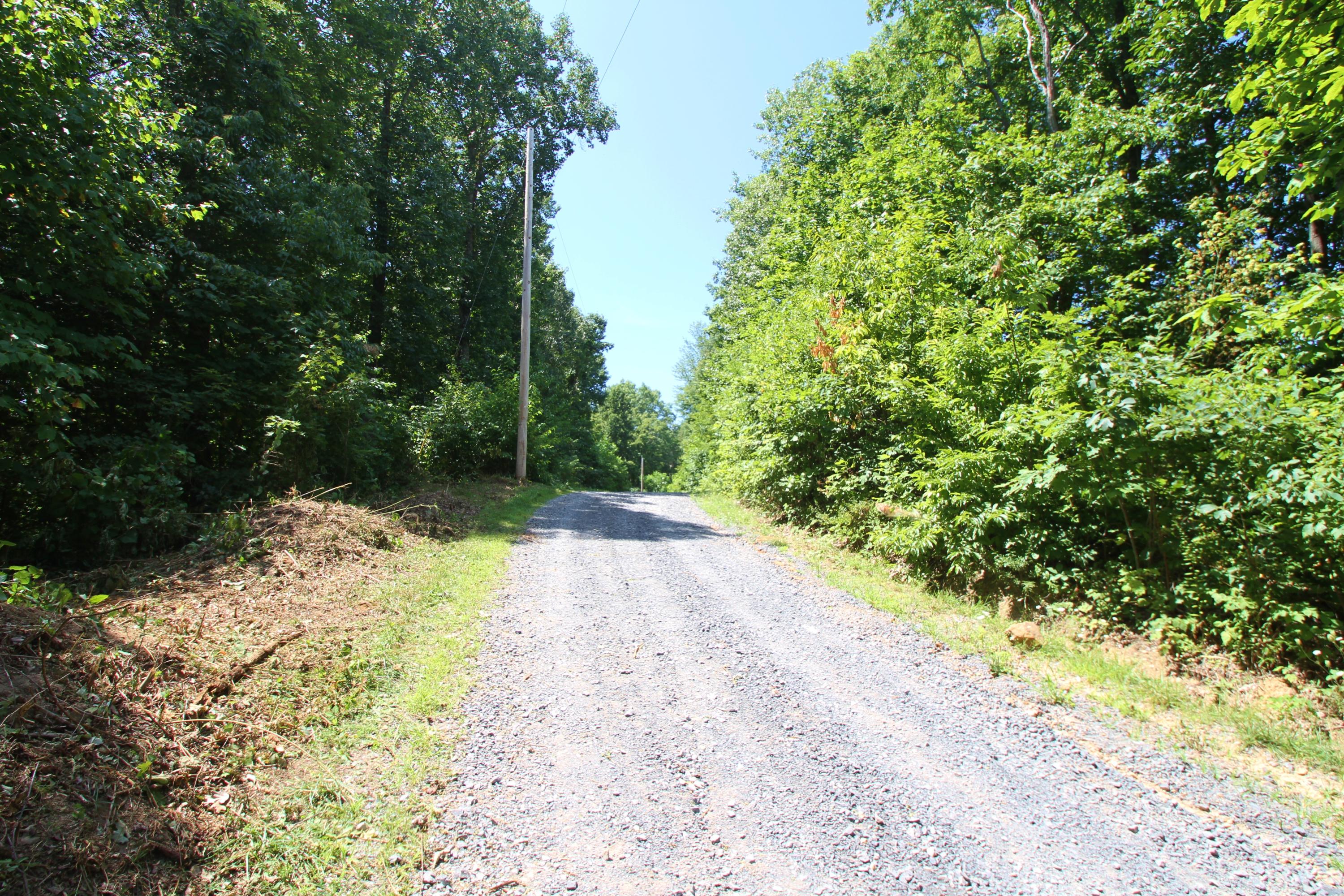Lot 46 South Ridge Lane Ballard, WV 24918 - Photo 2 of 12 Gallery Image 2