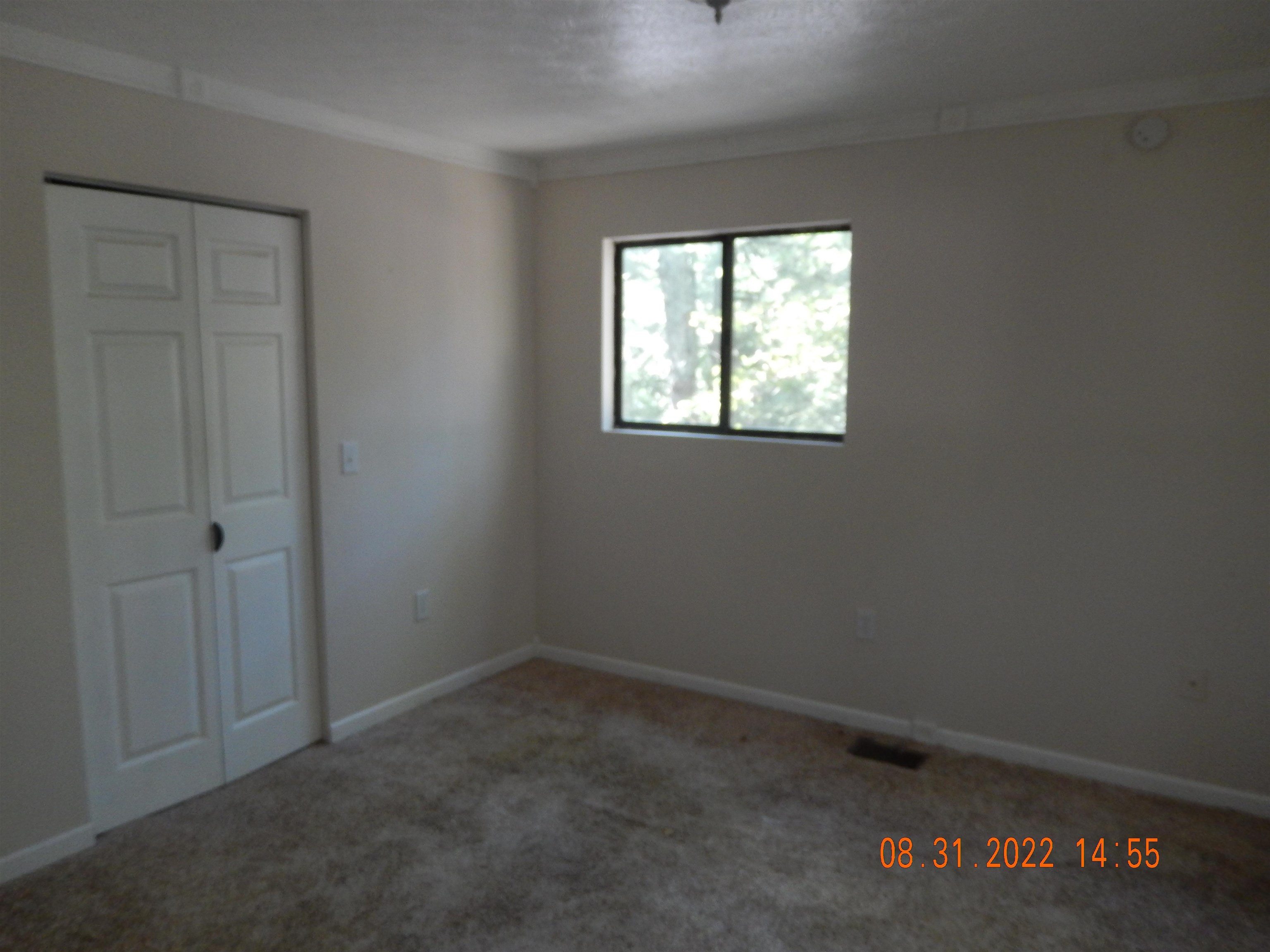 243 Miller Road Basye, VA 22842 - Photo 11 of 32 Gallery Image 11