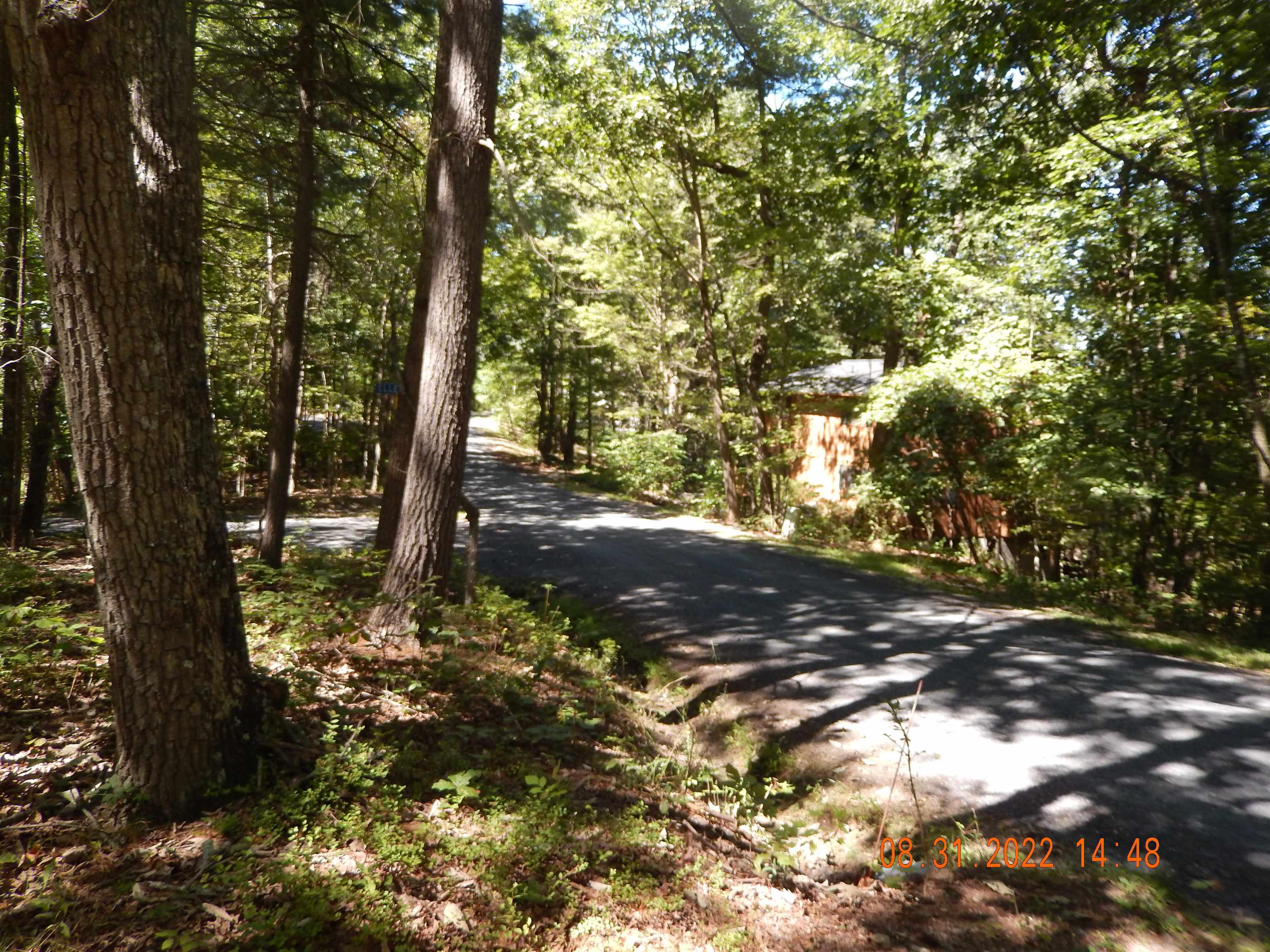 243 Miller Road Basye, VA 22842 - Photo 23 of 32 Gallery Image 23