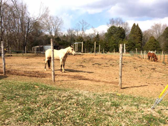 9265 Old Lebanon Road Murfreesboro, TN 37129 - Photo 10 of 19 Gallery Image 10
