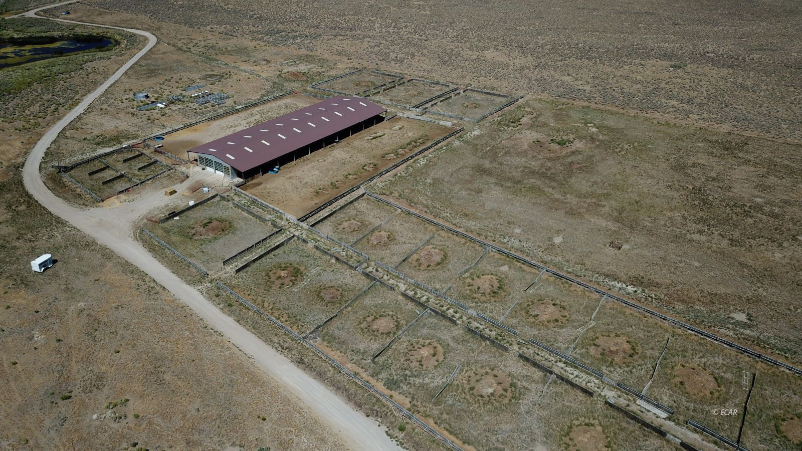 Segura Ranch Tonopah, NV 89049 - Photo 14 of 39 Gallery Image 14