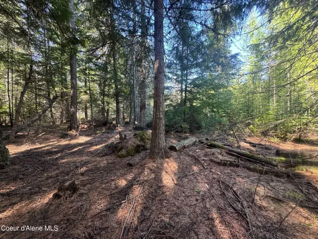 $249,900 | Nna Nna Backroads Way, Priest River, ID 83856