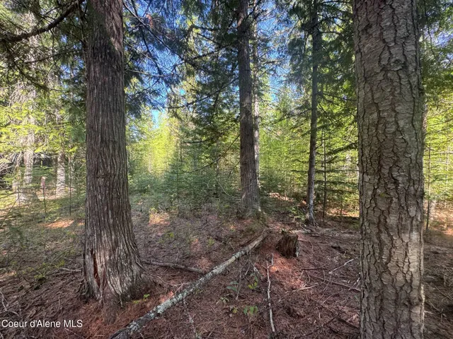 $249,900 | Nna Nna Backroads Way, Priest River, ID 83856