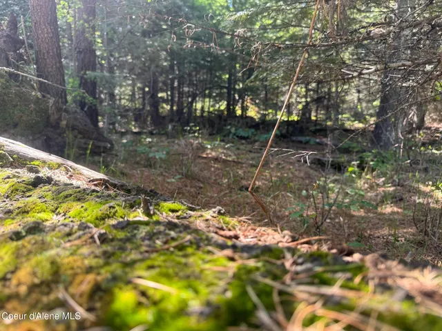 $249,900 | Nna Nna Backroads Way, Priest River, ID 83856