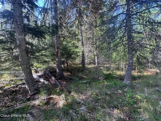 $249,900 | Nna Nna Backroads Way, Priest River, ID 83856
