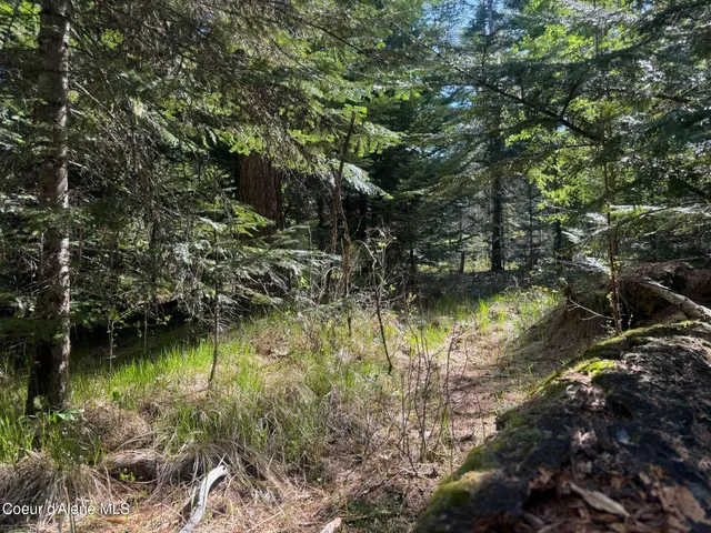 $249,900 | Nna Nna Backroads Way, Priest River, ID 83856
