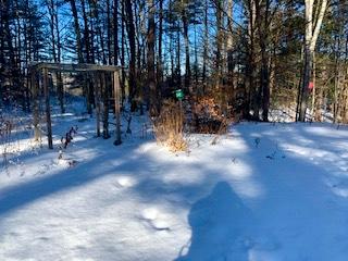 196 Bruce Hill Road Cumberland Center, ME 04021 - Photo 10 of 67 IMG_1253