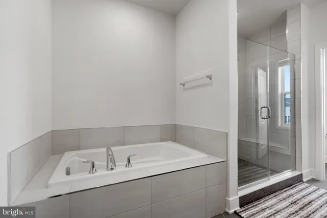 a bathroom with a bath tub and a shower