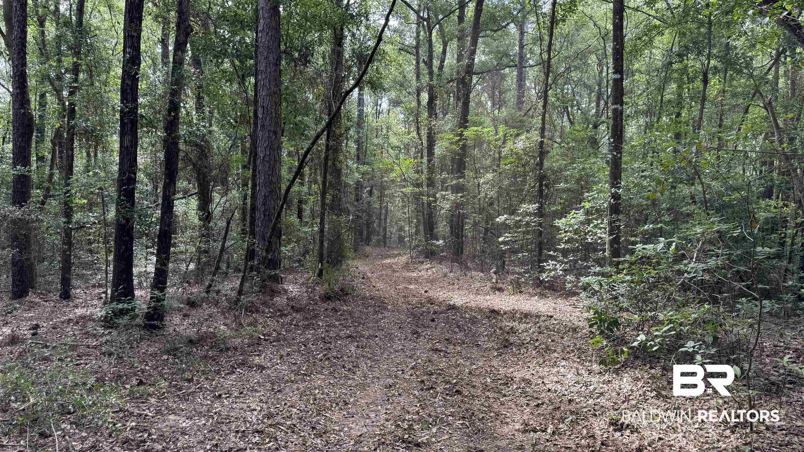 0 US Highway 98 Semmes, AL 36575 - Photo 9 of 24
