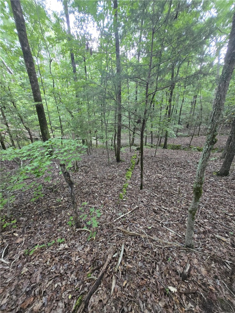 0 Dockside Drive Iva, SC 29655 - Photo 2 of 12