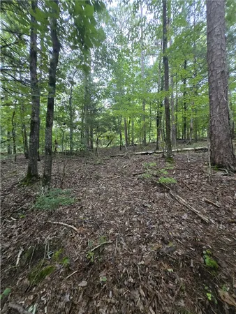$52,000 | 0 Dockside Drive, Iva, SC 29655