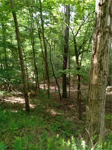 $52,000 | 0 Dockside Drive, Iva, SC 29655