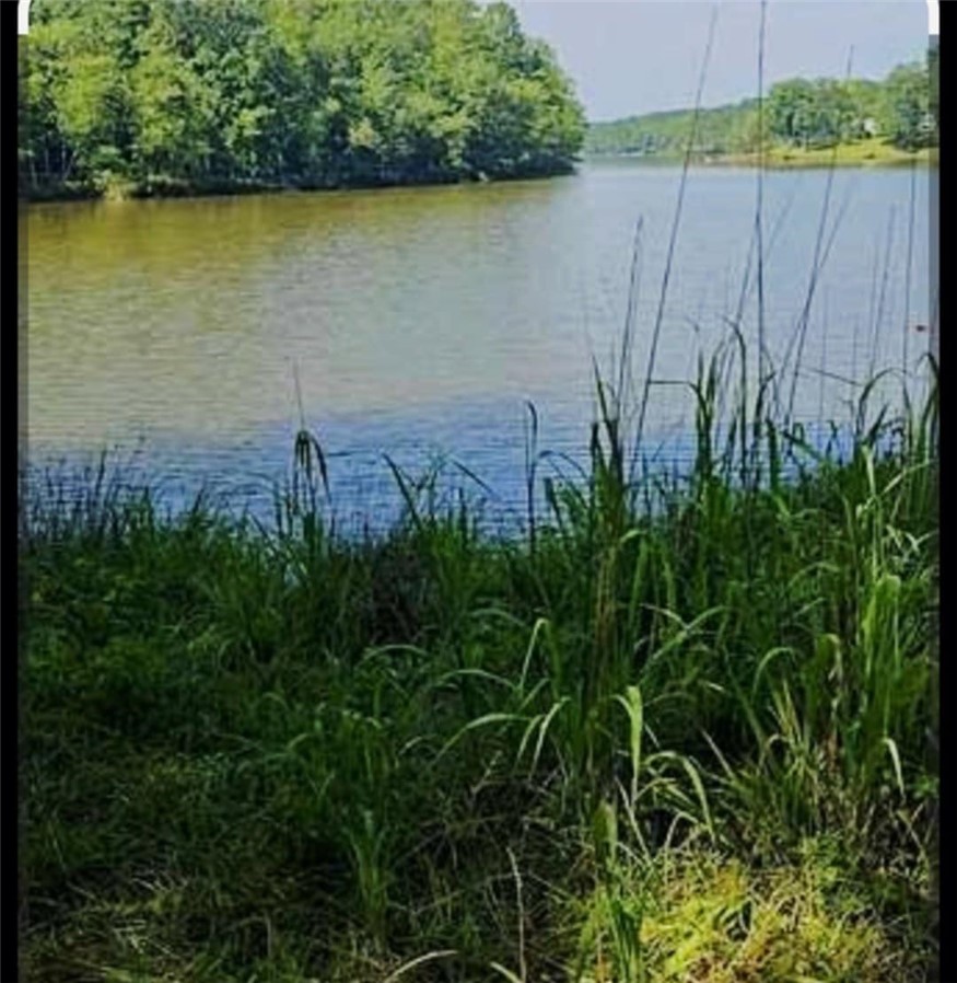 0 Dockside Drive Iva, SC 29655 - Photo 10 of 12