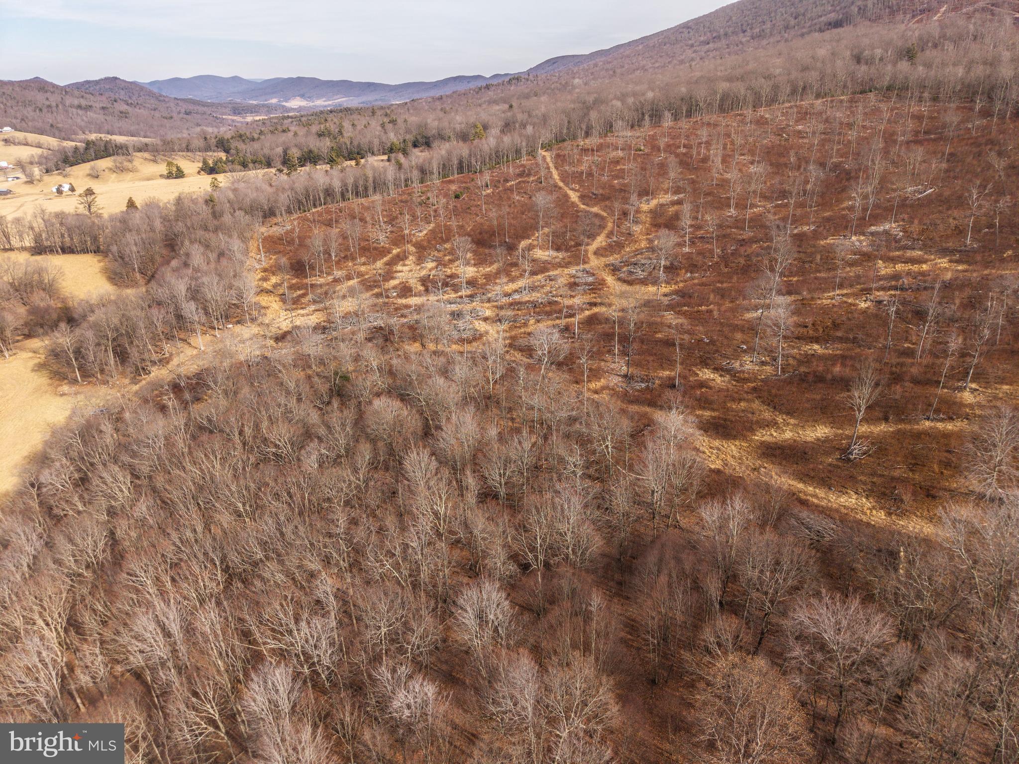 0 Spring Valley Road Gap Mills, WV 24941 - Photo 25 of 37 a view of lake and mountain