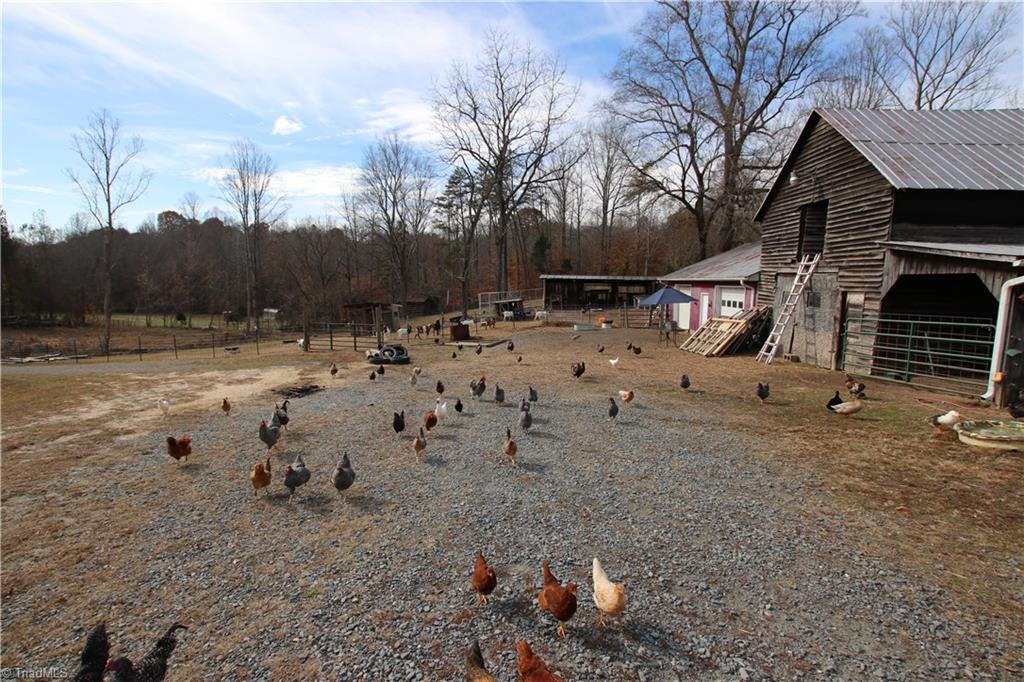 7585 West Road Walnut Cove, NC 27052 - Photo 2 of 30 Gallery Image 2