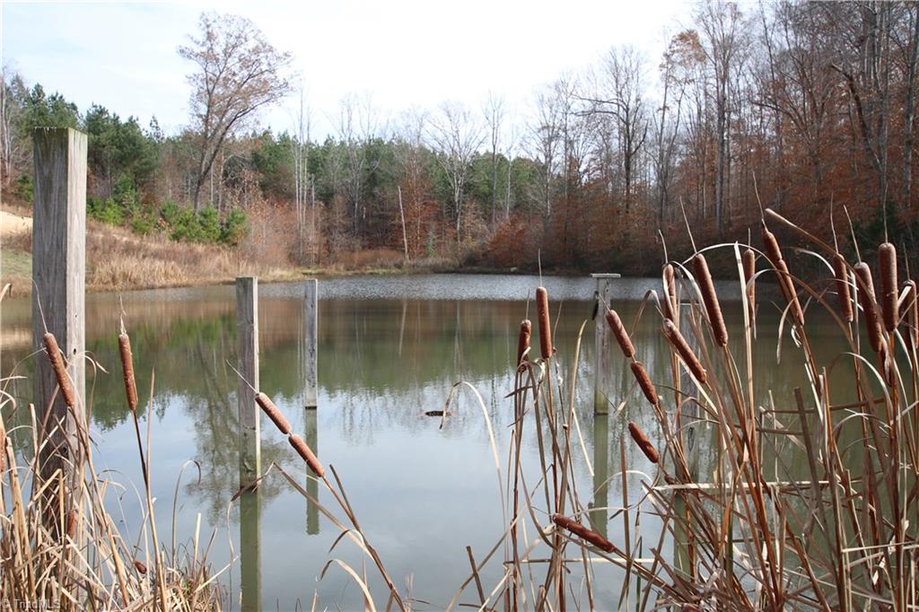 7585 West Road Walnut Cove, NC 27052 - Photo 3 of 30 Gallery Image 3