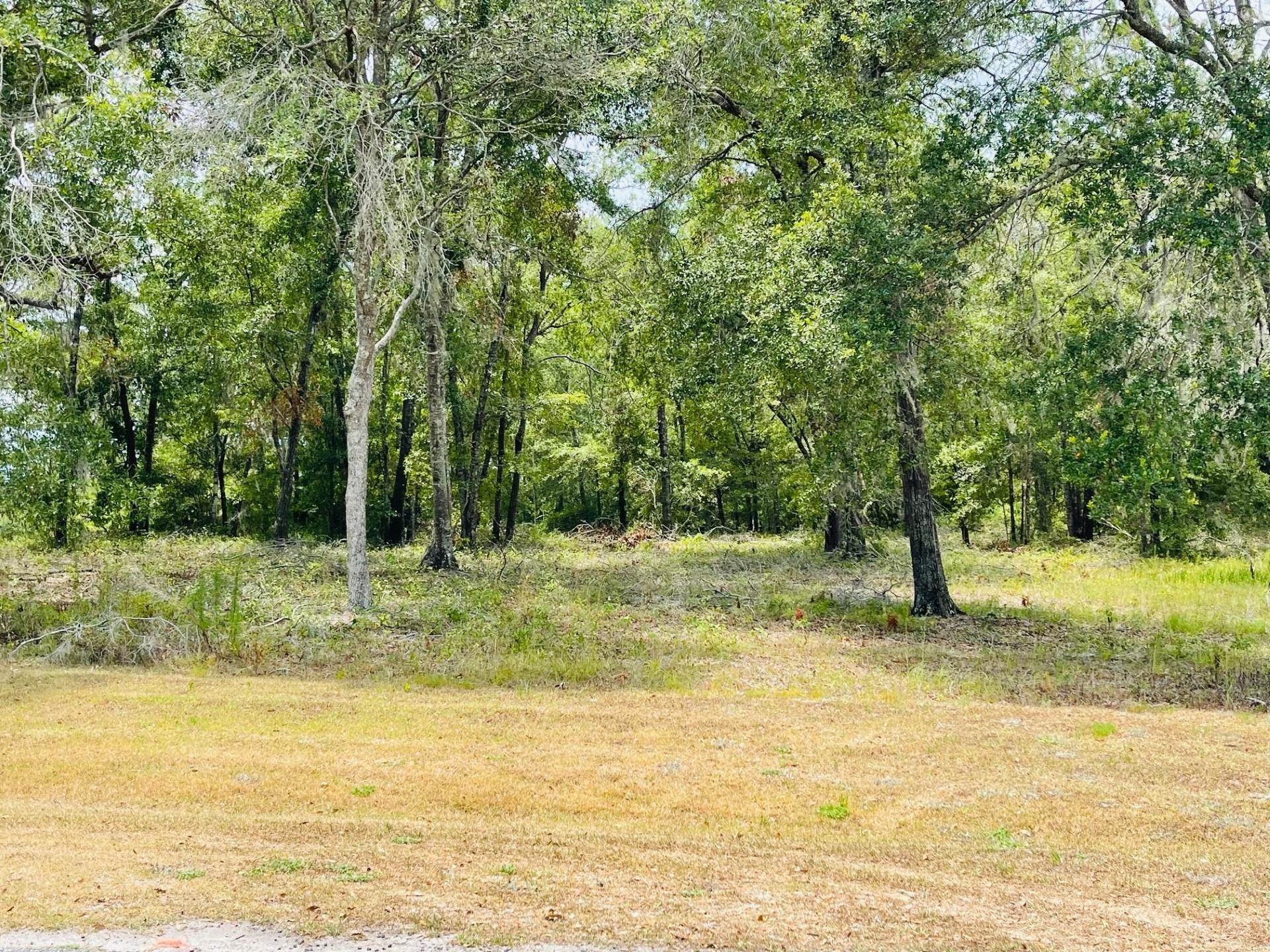 150 Way Pinetta Pinetta, FL 32350 - Photo 2 of 4