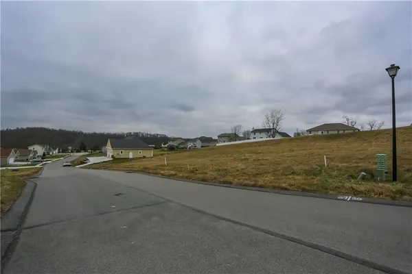 a view of a yard