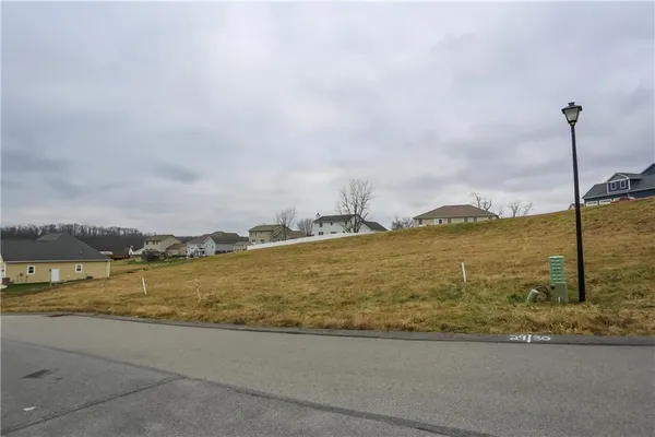 a view of a dry yard with trees