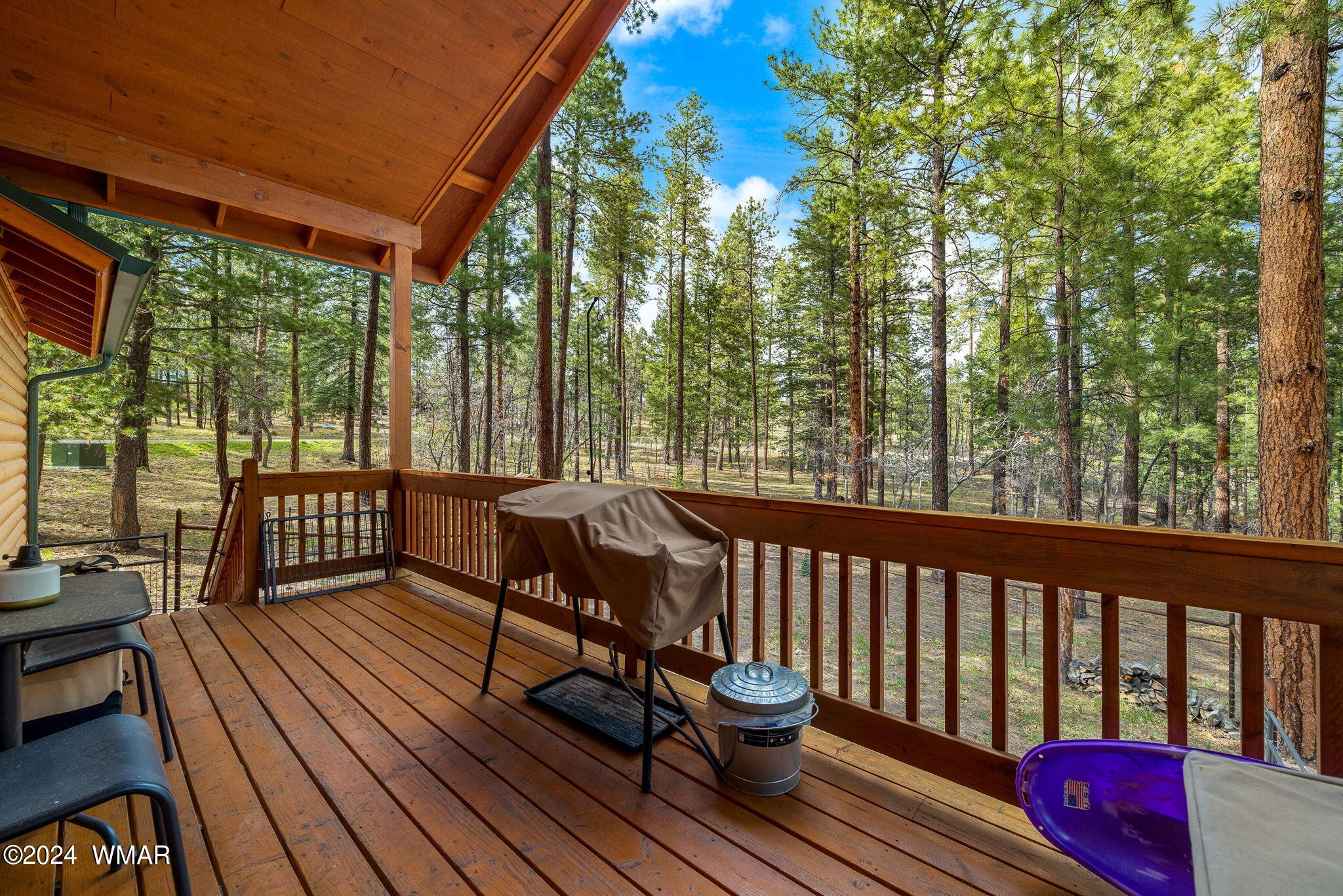 24 County Road Alpine, AZ 85920 - Photo 24 of 35