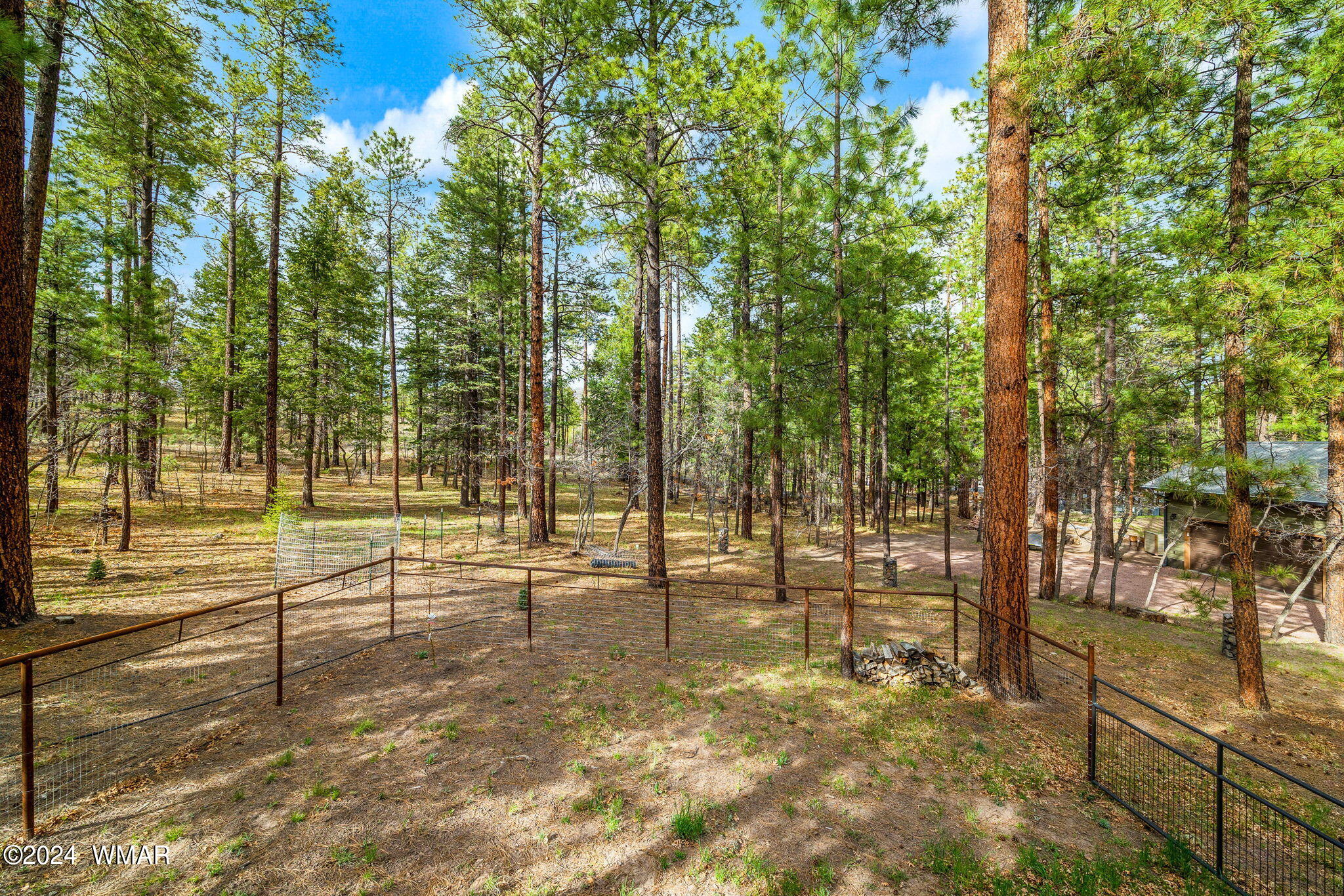 24 County Road Alpine, AZ 85920 - Photo 27 of 35