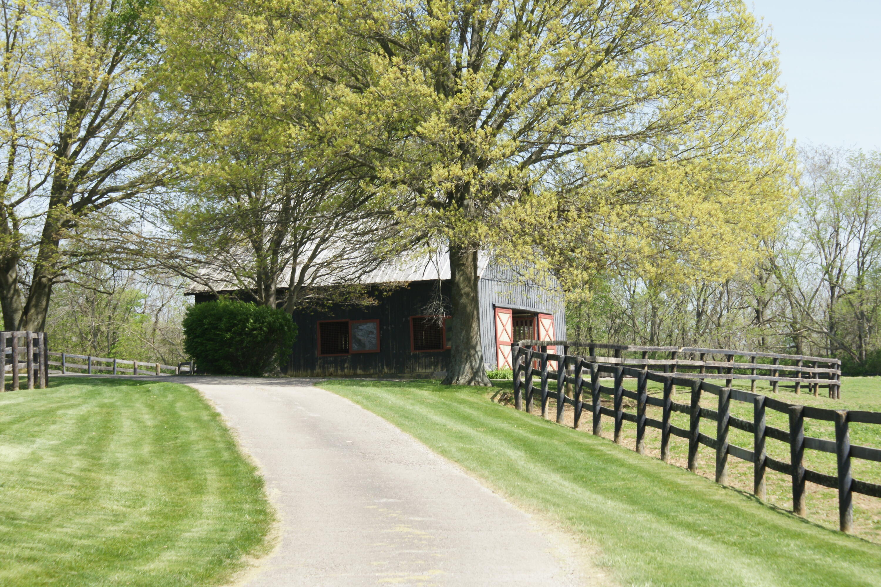 1901 Ferguson Road Lexington, KY 40511 - Photo 23 of 24 DSC00618