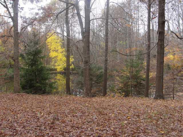 5459 West Hurt Road Monrovia, IN 46157 - Photo 5 of 6 Gallery Image 5