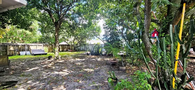 a view of a park with large trees