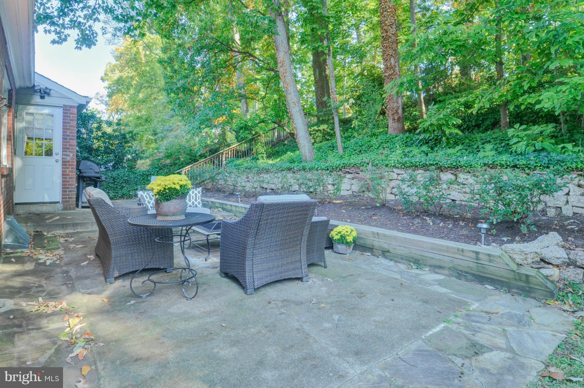 3305 Russell Road Alexandria, VA 22305 - Photo 21 of 30 Exterior (Rear)